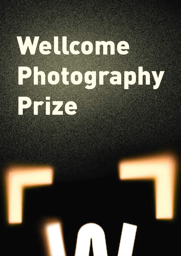 Top and Best Photography Competitions to Enter in 2025