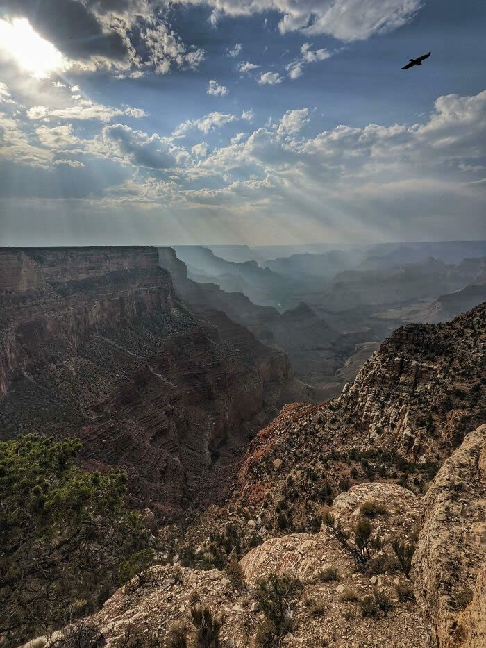 Nature and Life Created Picture-Perfect Wonders