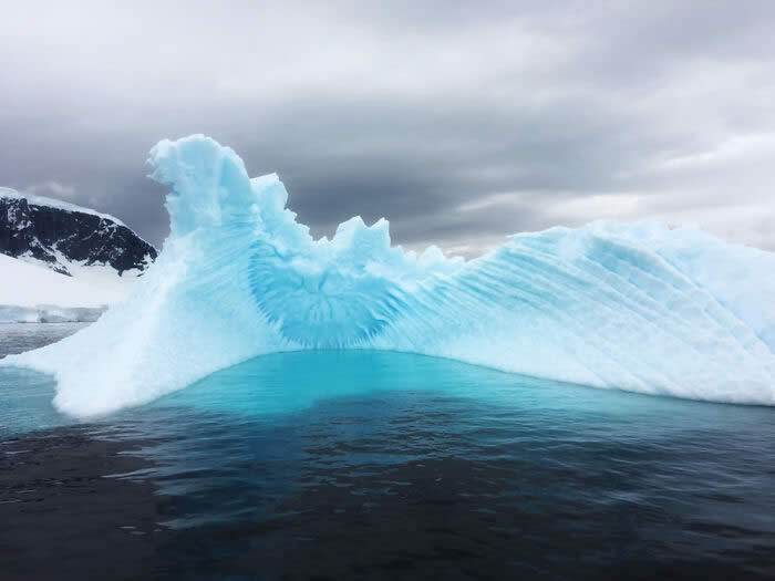 Nature and Life Created Picture-Perfect Wonders