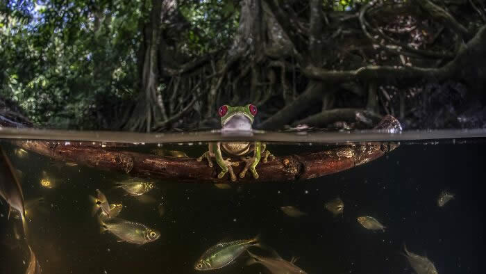 Refocus International Photographer of the Year Awards Winners