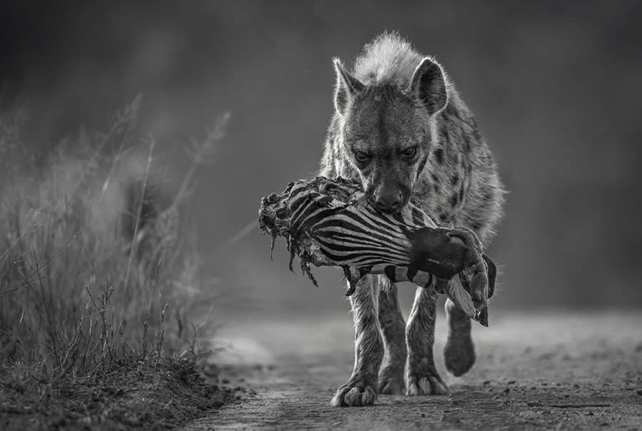 Black and White-Winning Photos from the Artist Gallery Awards 2024