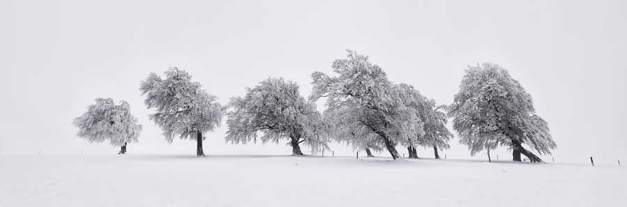 Black and White-Winning Photos from the Artist Gallery Awards 2024