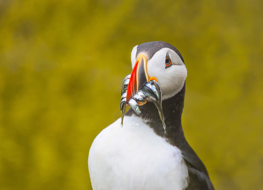 Landscape and Wildlife Photography by John Meragias