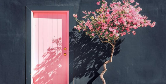 The Art of Minimalism: Vibrant Windows and Doors by German Photographer Thomas