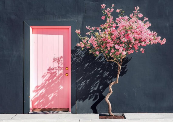 The Art of Minimalism: Vibrant Windows and Doors by German Photographer Thomas