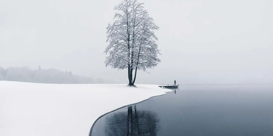 30 Mesmerizing Photos of the Most Beautiful Places Around the World 31 Snow-covered shoreline with a lone bare tree reflected in a calm lake on a misty winter day