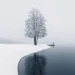 Snow-covered shoreline with a lone bare tree reflected in a calm lake on a misty winter day