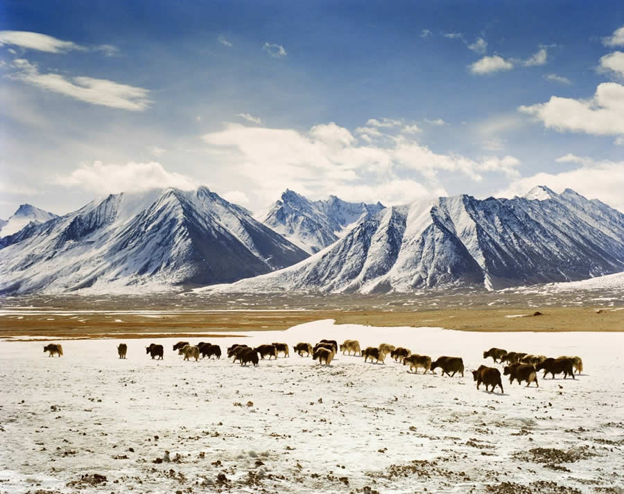 Afghanistan Untamed Beauty by Frederic Lagrange