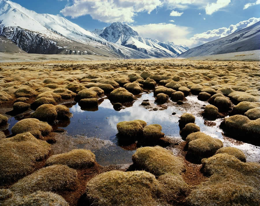 Afghanistan Untamed Beauty by Frederic Lagrange