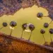 beauty of fungi macro photography