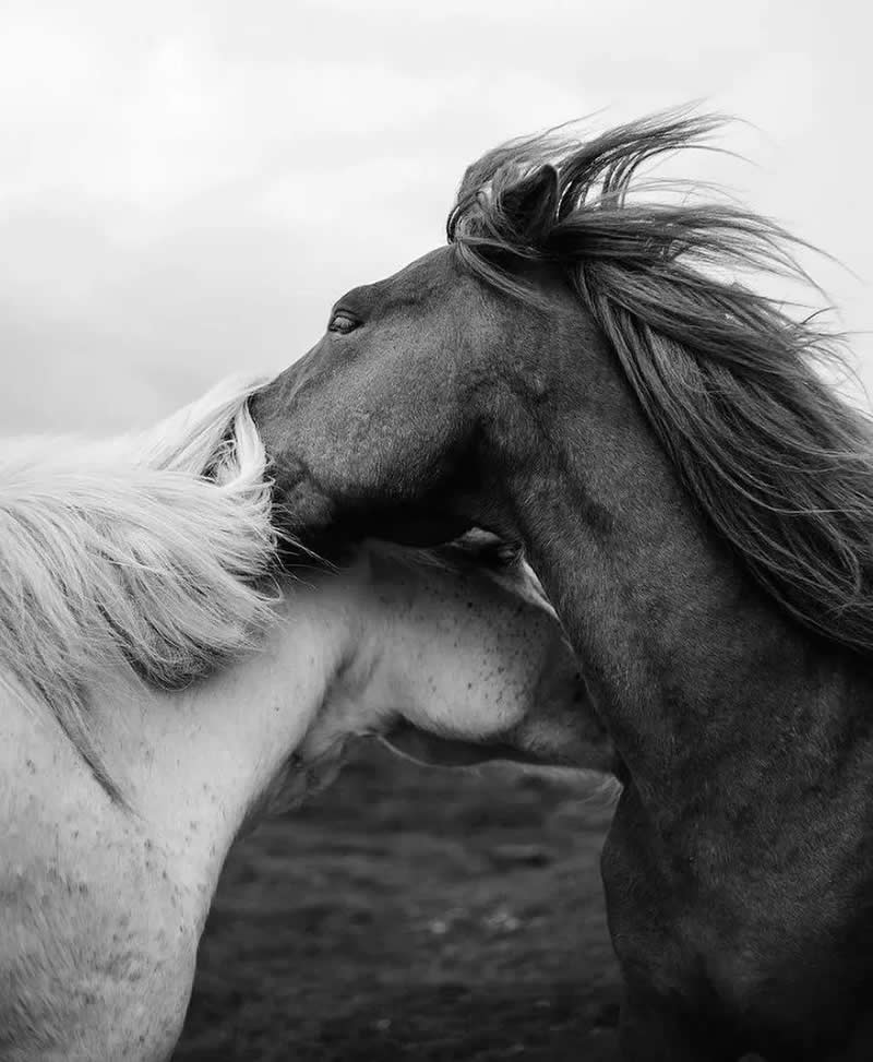 Black and White Street Photography Gallery