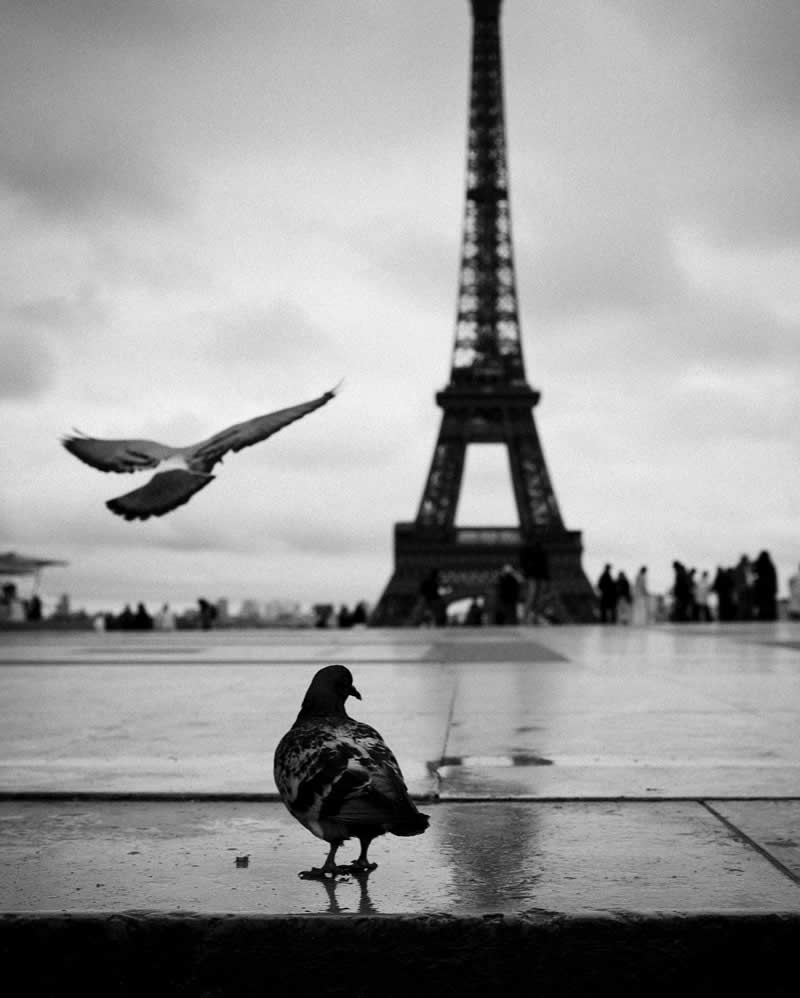 Black and White Street Photography by Fernando Pedro Salgado