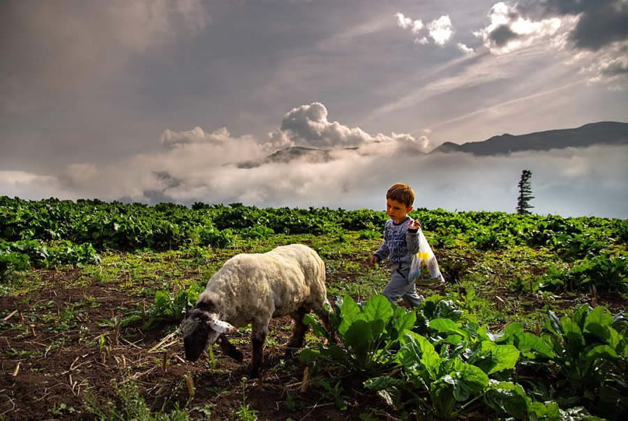 Everyday Life Of Turkey Photography by Ibrahim Aysundu