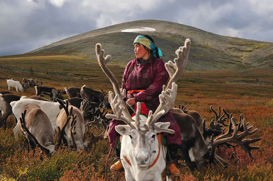 The Everyday Life of the Reindeer People Living in Mongolia by Hamid Sardar-Afkhami