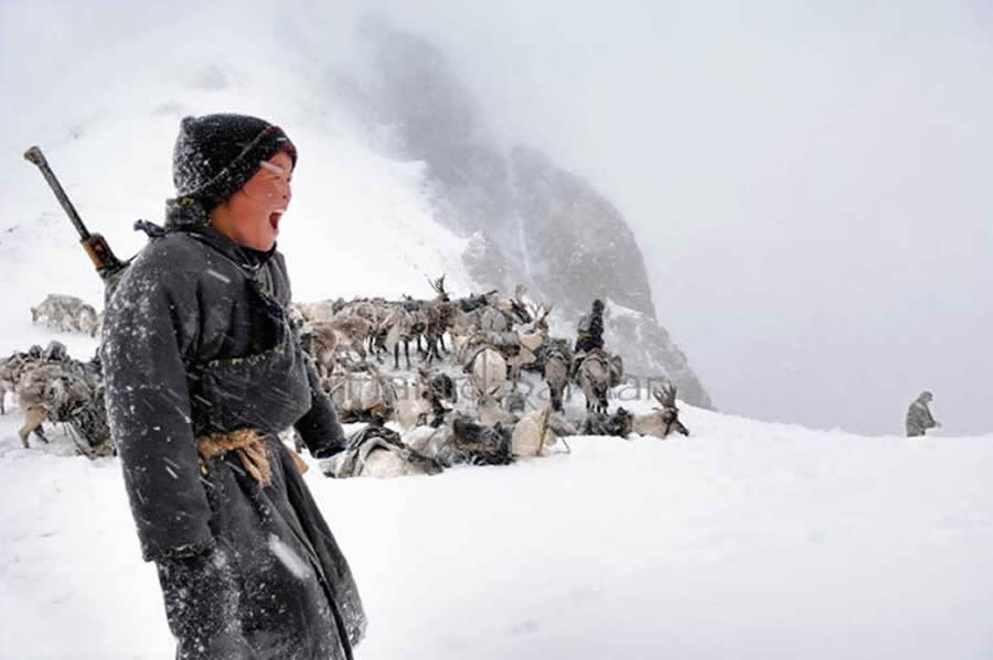 The Everyday Life of the Reindeer People Living in Mongolia by Hamid Sardar-Afkhami