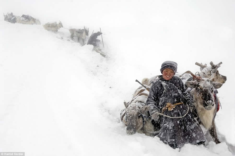 The Everyday Life of the Reindeer People Living in Mongolia by Hamid Sardar-Afkhami