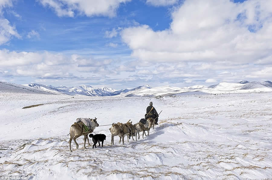 The Everyday Life of the Reindeer People Living in Mongolia by Hamid Sardar-Afkhami