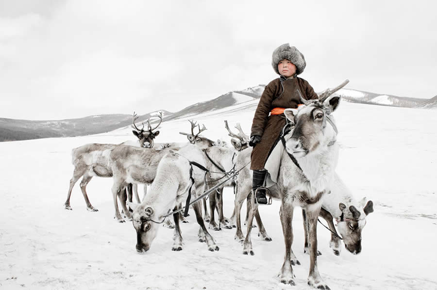 The Everyday Life of the Reindeer People Living in Mongolia by Hamid Sardar-Afkhami