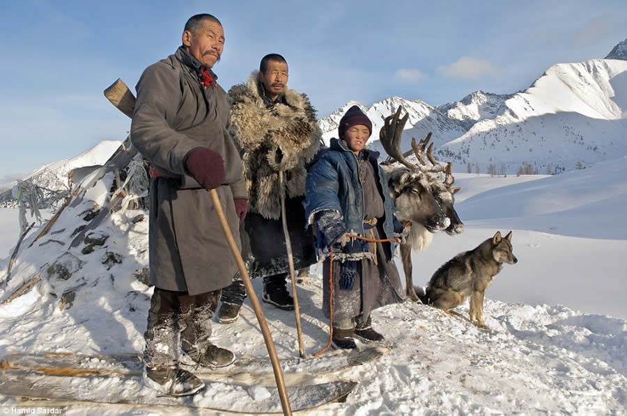 The Everyday Life of the Reindeer People Living in Mongolia by Hamid Sardar-Afkhami