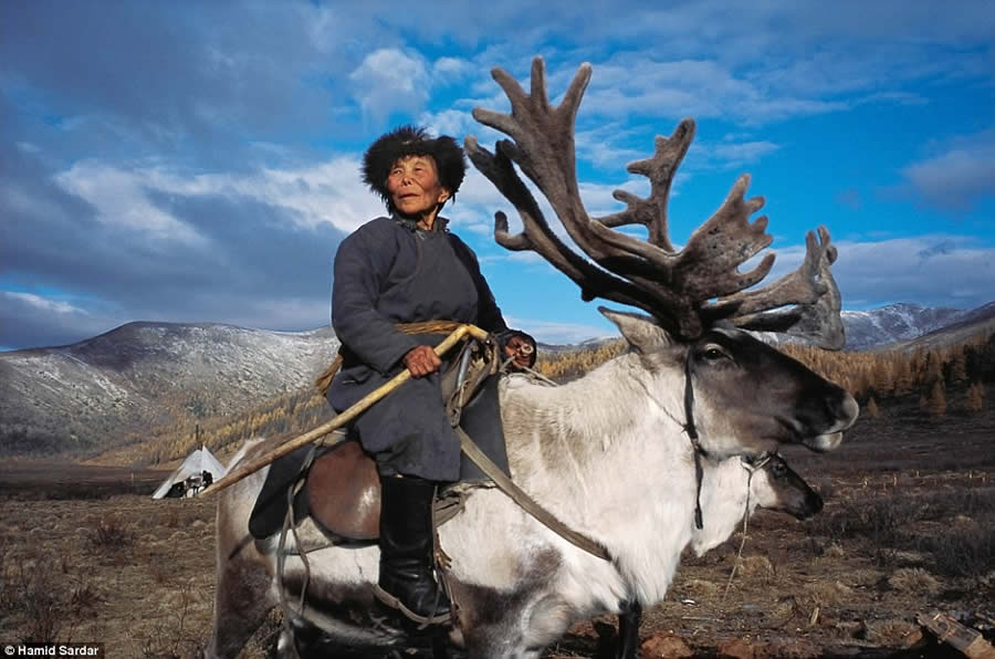 The Everyday Life of the Reindeer People Living in Mongolia by Hamid Sardar-Afkhami