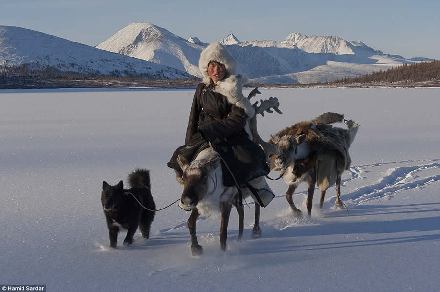 The Everyday Life of the Reindeer People Living in Mongolia by Hamid Sardar-Afkhami