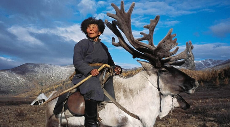 The Everyday Life of the Reindeer People Living in Mongolia by Hamid Sardar-Afkhami