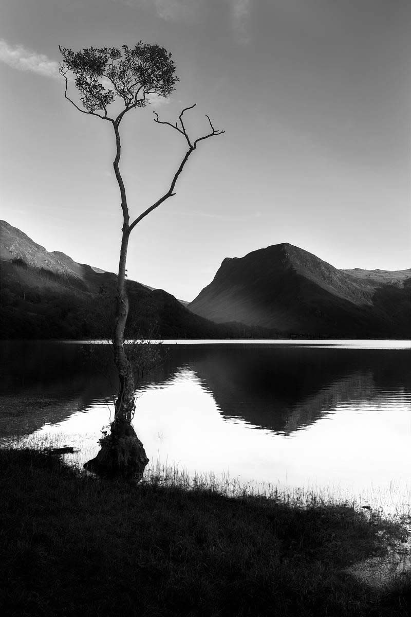 Award-Winning Black and White Photos From The Garden Photographer Of The Year