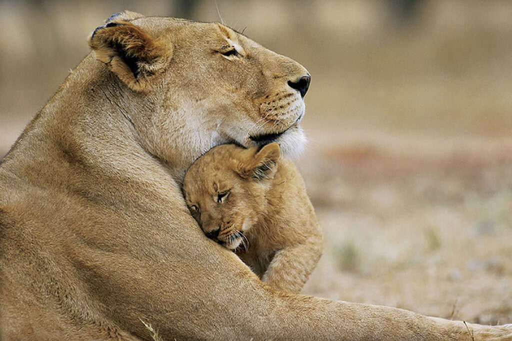 Heartwarming Photos