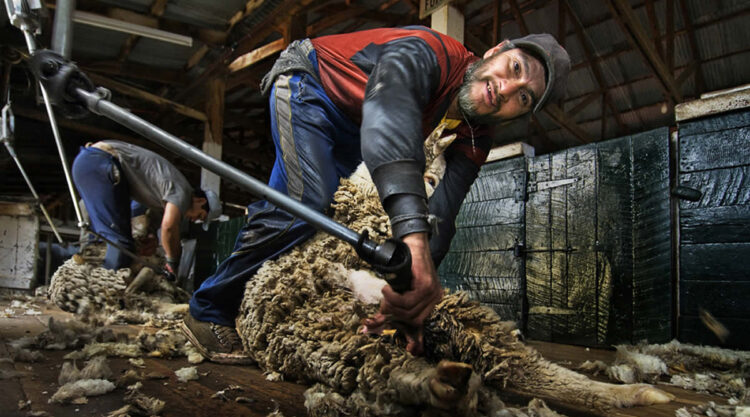 The Rural Life of Argentina's Vast Southern Farms by Luis Alberto Franke