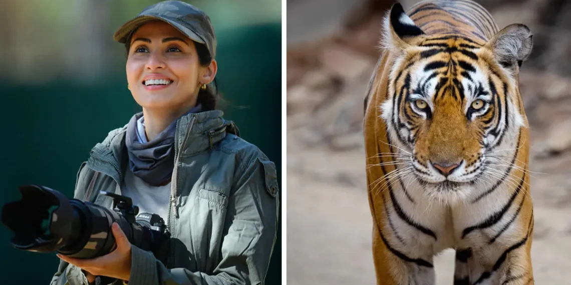 sadha sayed wildlife photographer