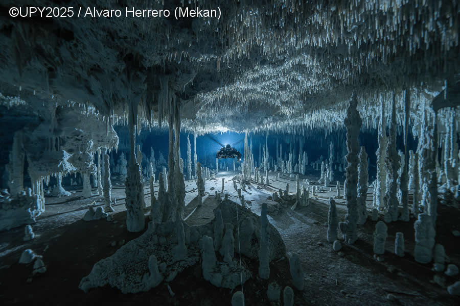 2025 Underwater Photographer of the Year Winners