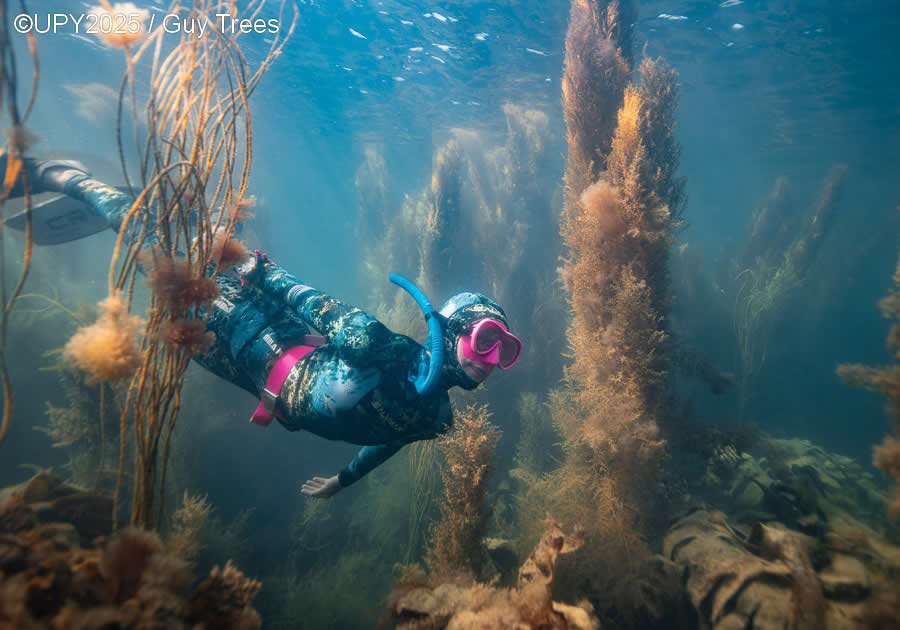 2025 Underwater Photographer of the Year Winners