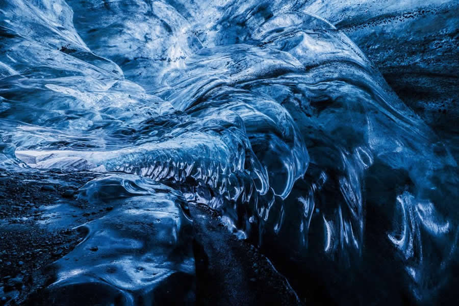 2025 World Nature Photography Awards Winners