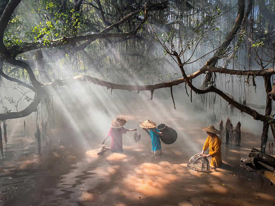 Xiaomi Imagery Mobile Photography Awards Winners