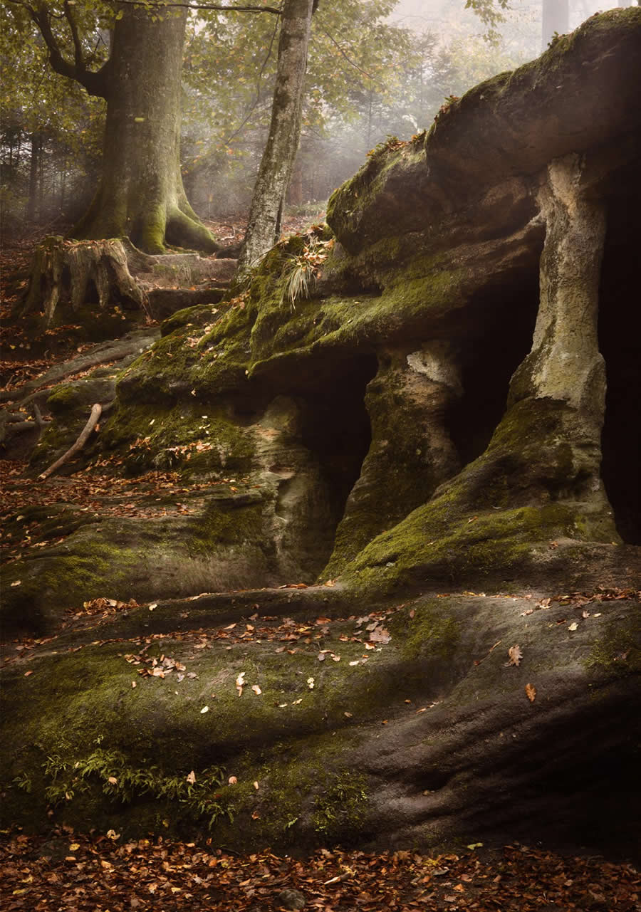 Nature Winners from the 1839 Photographer of the Year Awards