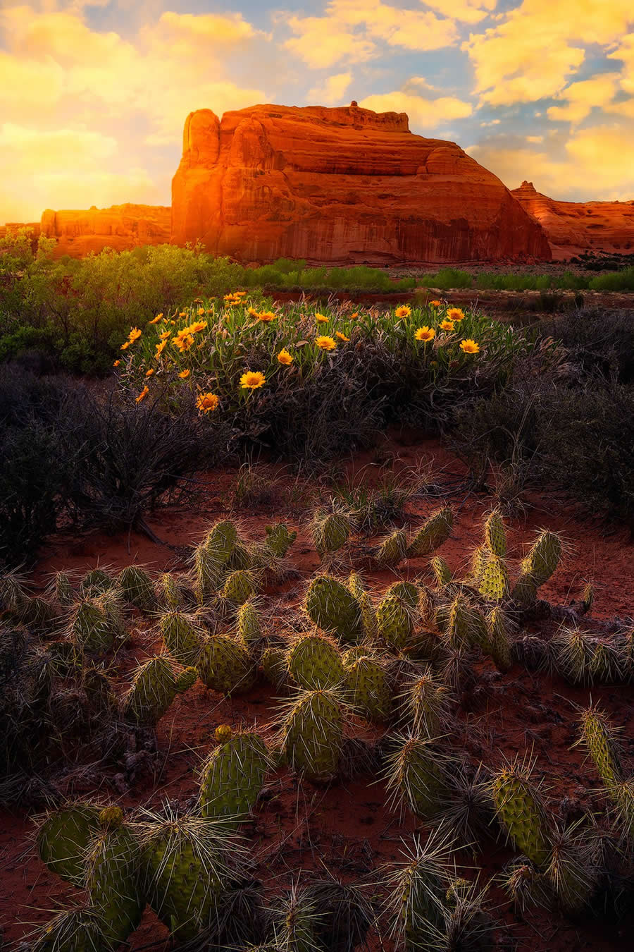 Nature Winners from the 1839 Photographer of the Year Awards