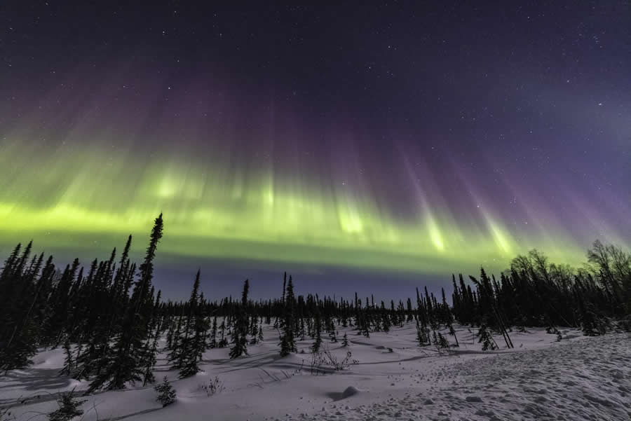 Nature Winners from the 1839 Photographer of the Year Awards