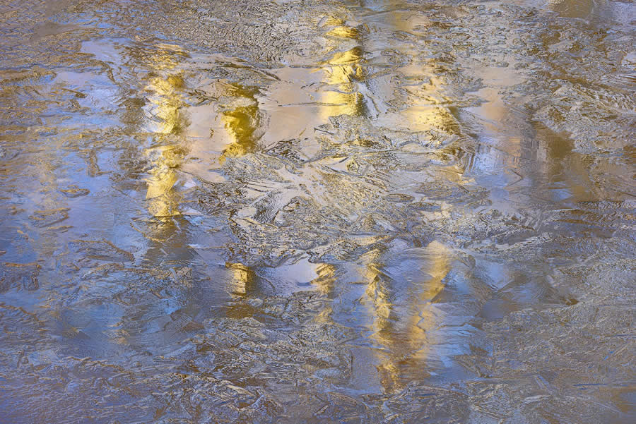 Nature Winners from the 1839 Photographer of the Year Awards