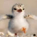 Cuteness Overload: 30 Heartwarming Photos of Adorable Animals People Love 71 A fluffy baby bird strutting on sandy ground with wings outstretched