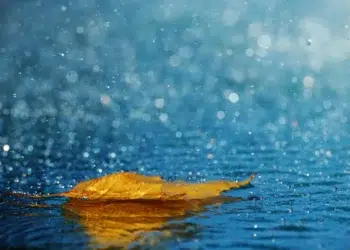 Golden autumn leaf floating in rain puddle with blue bokeh background beautiful bokeh photography