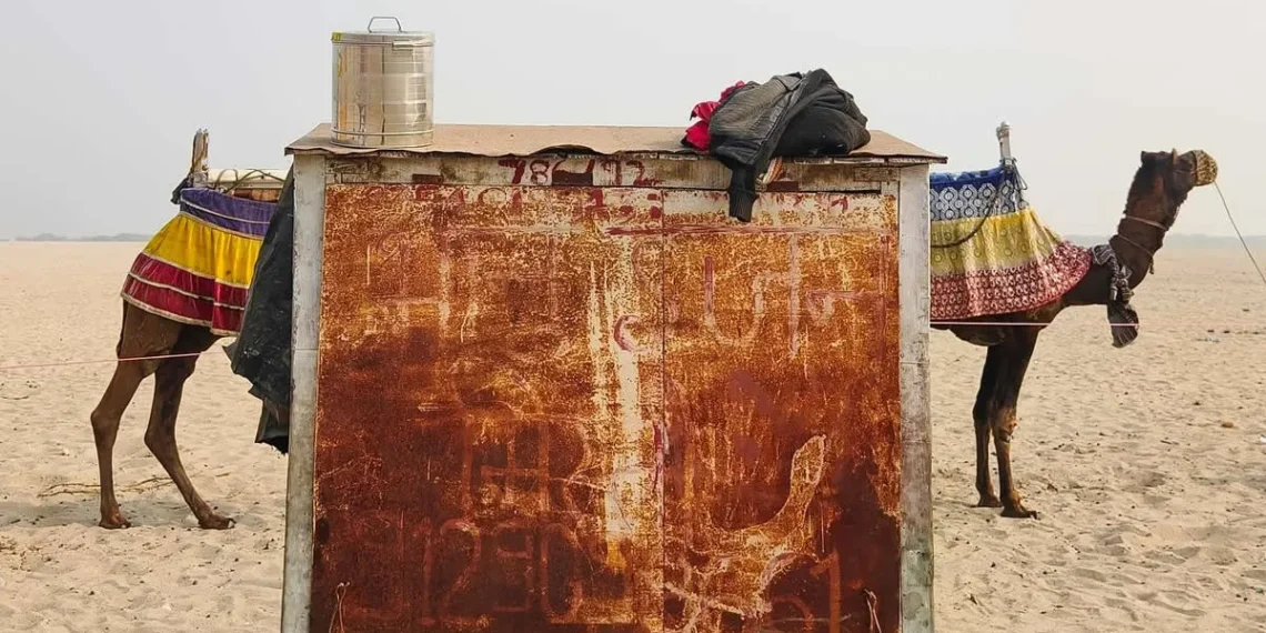 Mastering Juxtaposition in Street Photography: 10 Essential Tips 22 Two camels on a sandy desert, separated by a rusty metal cart