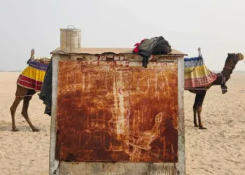 Two camels on a sandy desert, separated by a rusty metal cart