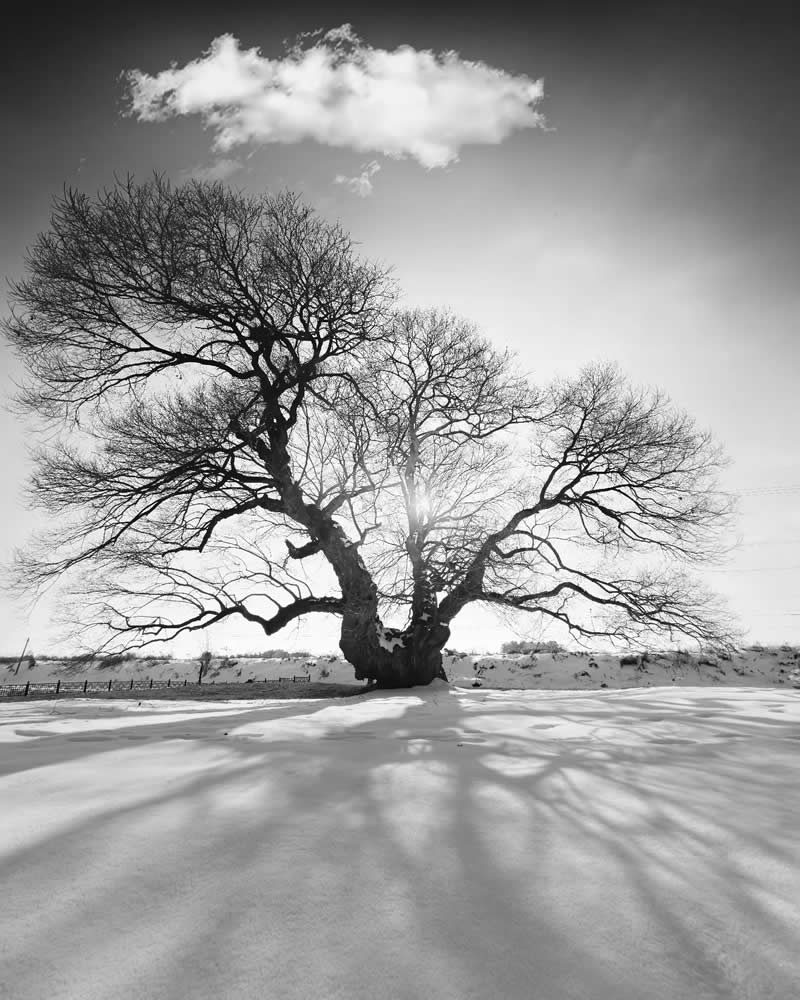 Black and White Long Exposure Landscape Photography by Jo Deok-hwan