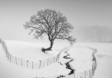 Black and White Long Exposure Landscape Photography by Jo Deok-hwan