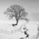 Black and White Long Exposure Landscape Photography by Jo Deok-hwan