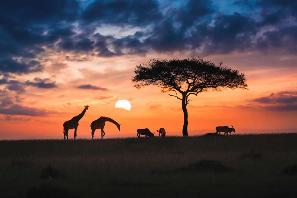 Travel Photos from the Fine Art Photography Awards 2024