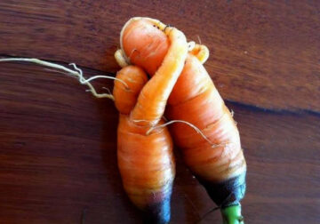 Funny Fruits and Vegetables