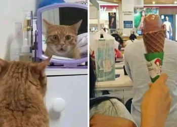 funny confusing images
