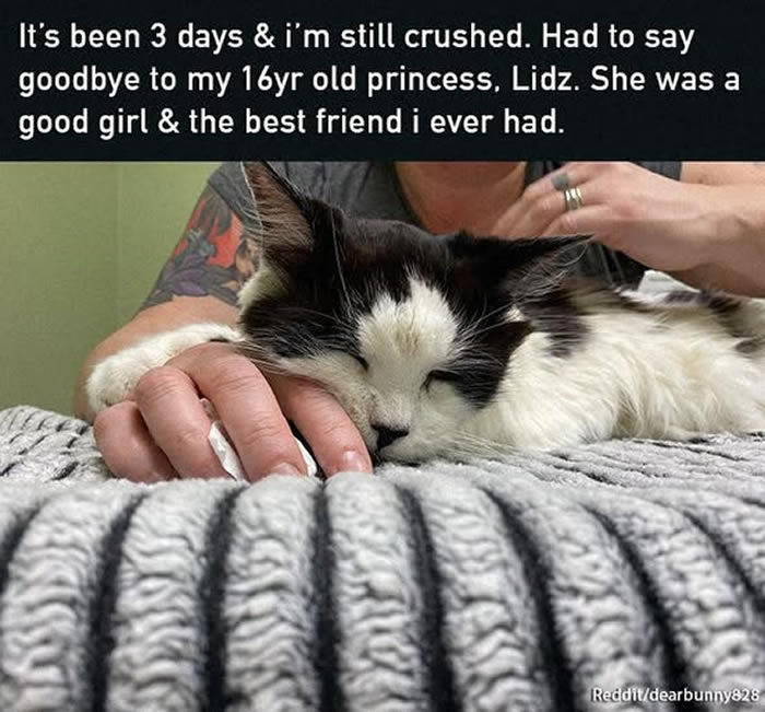 Heartwarming Photos to Brighten Your Day