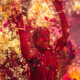 Braj Ki Holi India’s Festival of Colors by Ganesh Vanare